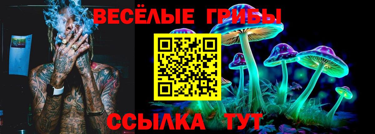Псилоцибиновые грибы прущие грибы  Вход с VPN  Рузаевка 